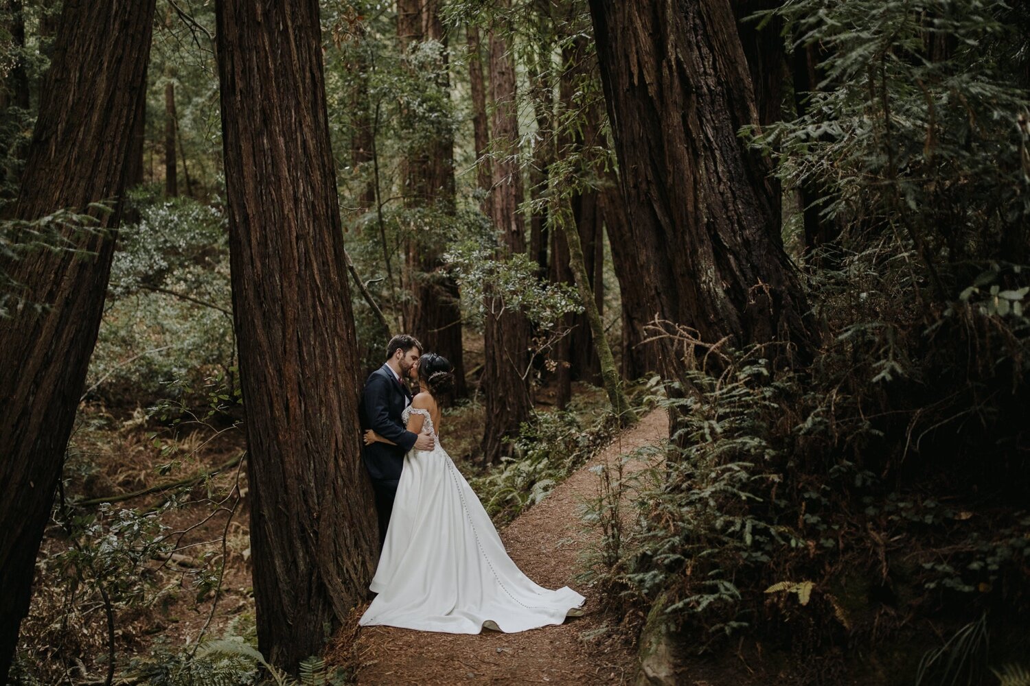 Muir Woods Elopement and Micro Wedding Photography