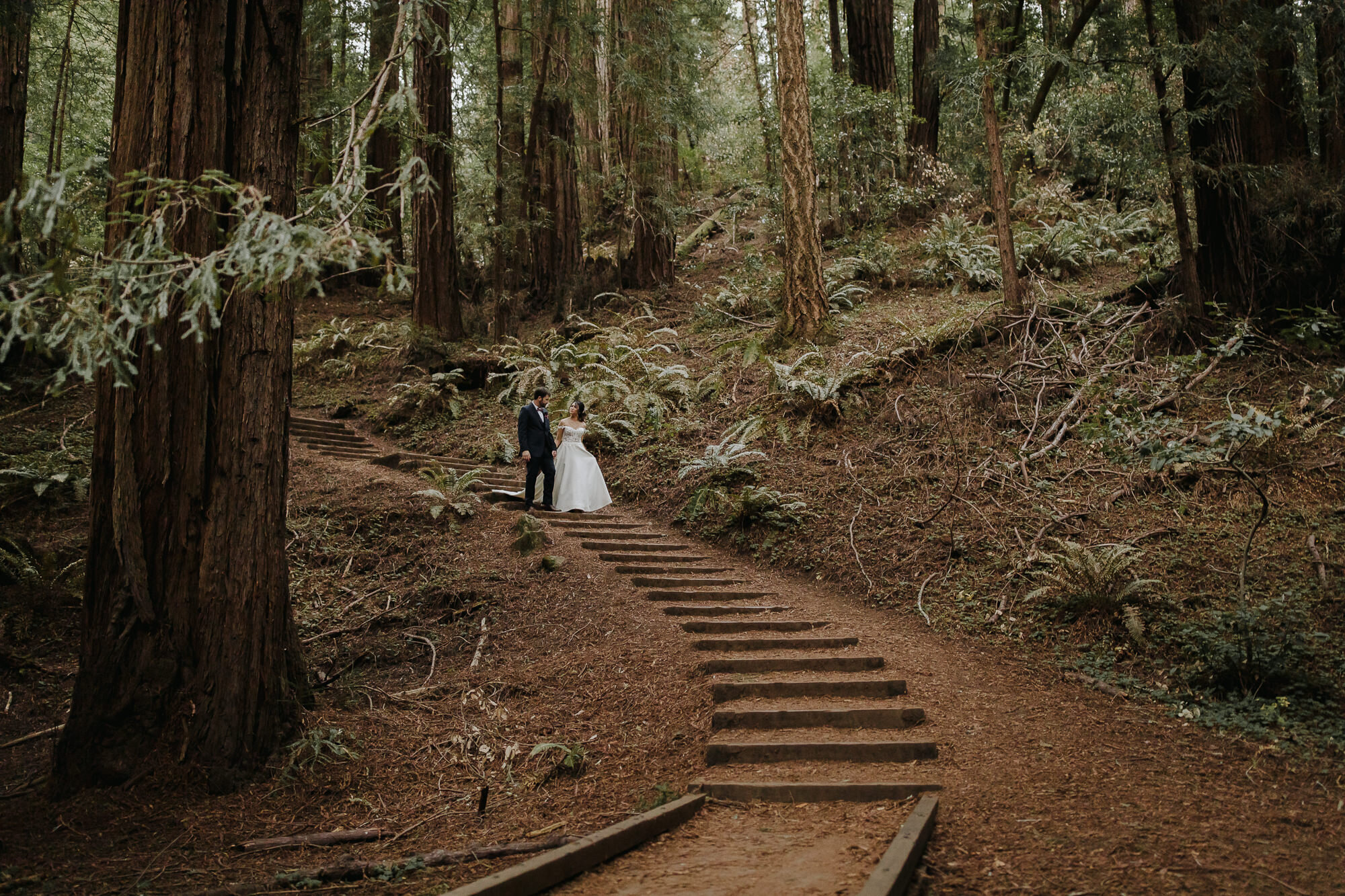 Muir Woods Elopement and Micro Wedding Photography