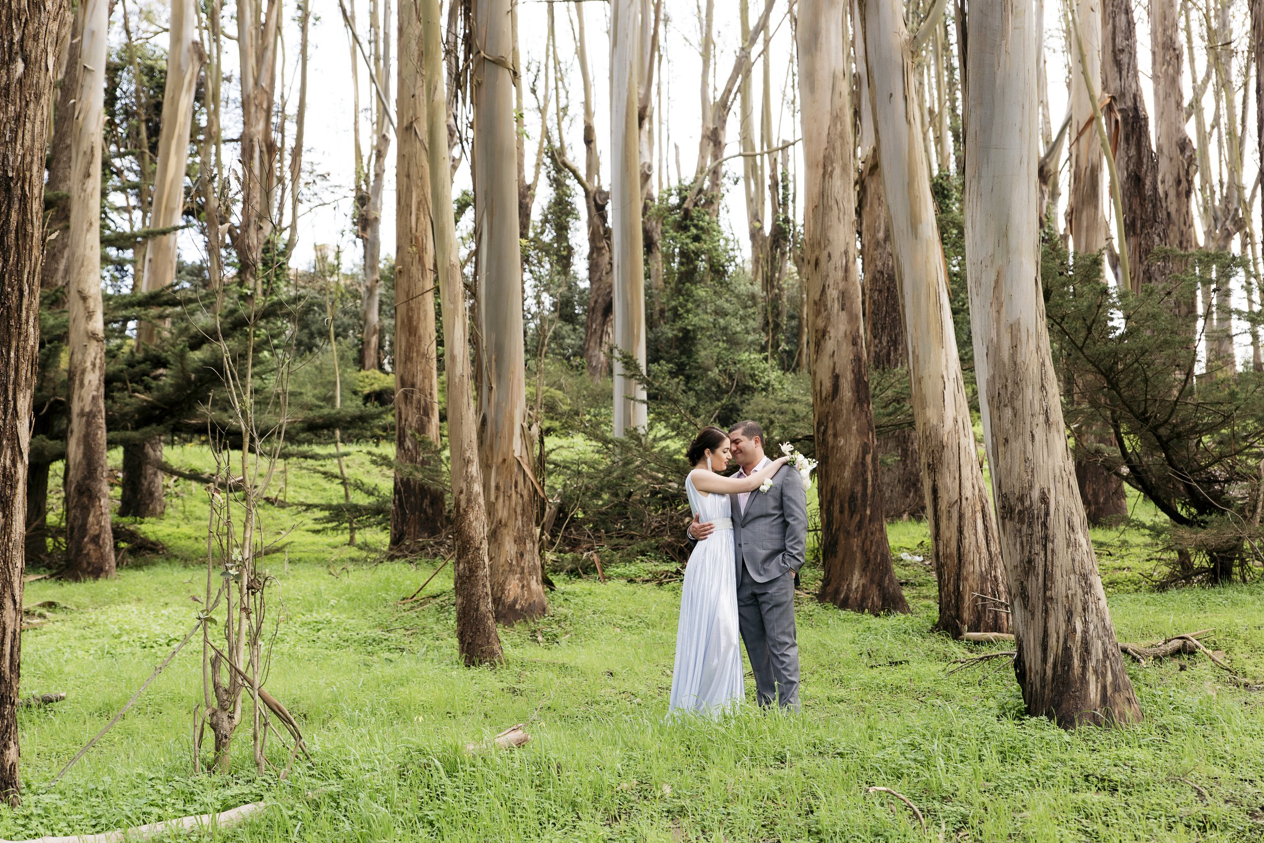 Lovers Lane San Francisco Wedding The Andrew Goldsworthy Wood Line