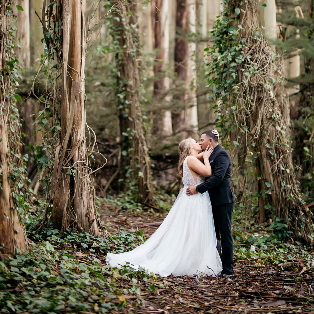 VW Elopement Bus Tour to Muir Woods