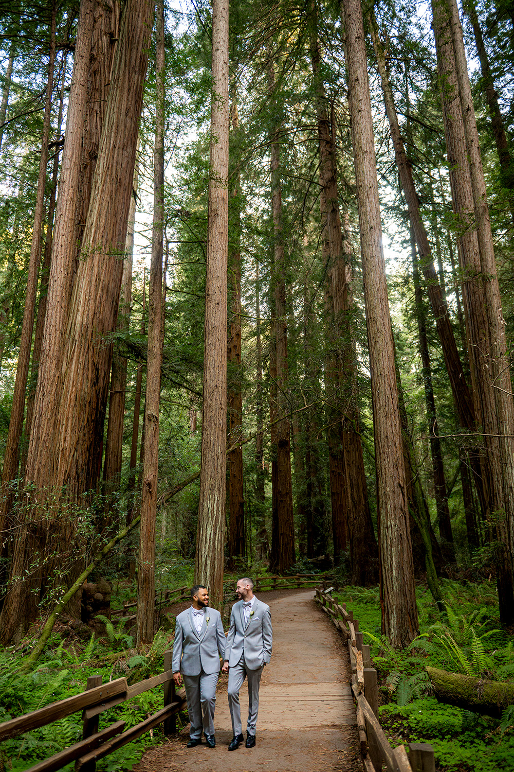 Muir Woods California Wedding Photography