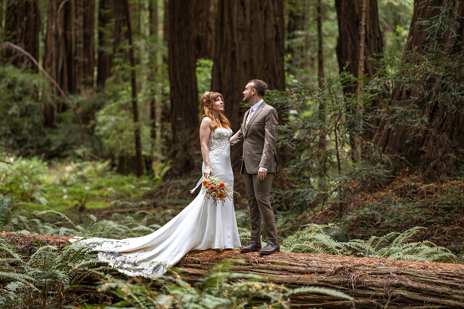 Muir Woods California Wedding Photography