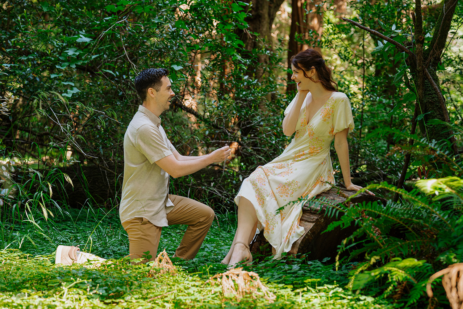 Muir Woods California Proposal and Engagement Photography