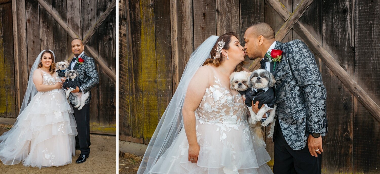07_Rachel_Levine_Photography_Monterey_Wedding (23)_Rachel_Levine_Photography_Monterey_Wedding (24).jpg