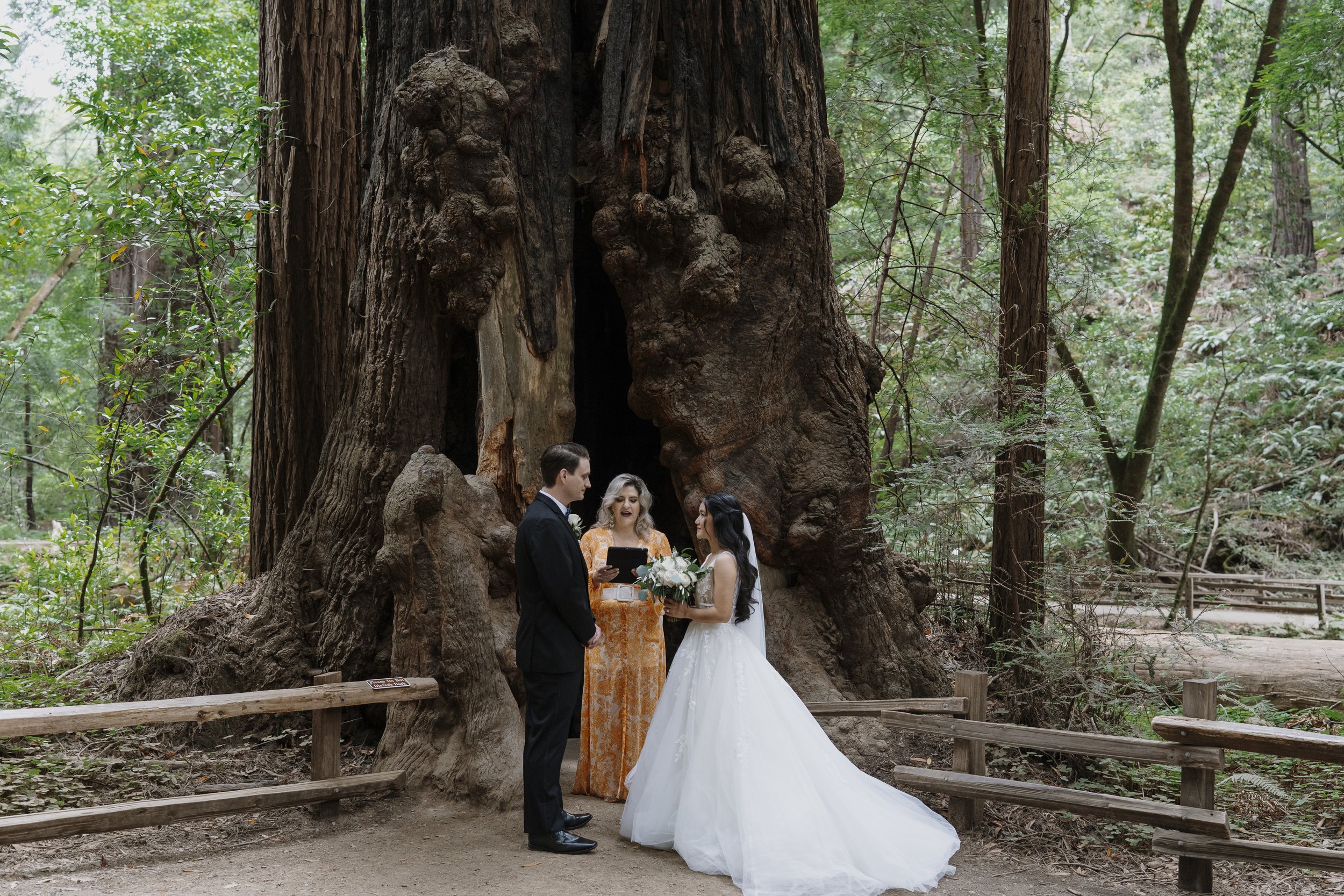 Muir Woods Elopement and Micro Wedding Photography