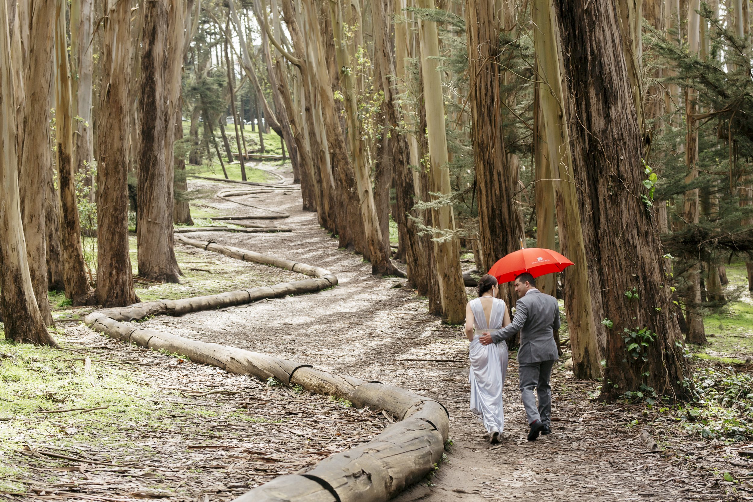 Lovers Lane San Francisco Wedding The Andrew Goldsworthy Wood Line