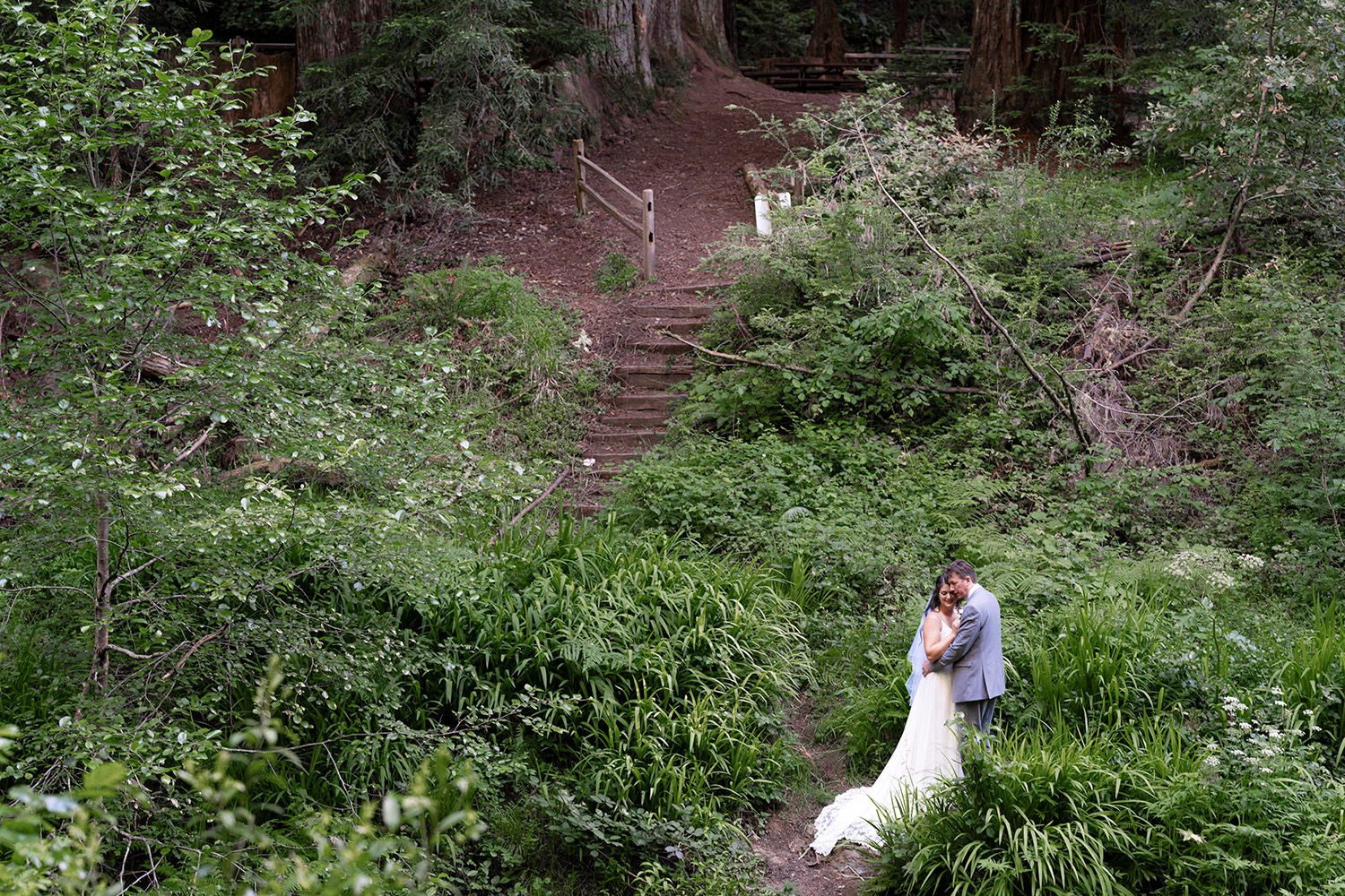 Redwood Forest Elopement Ceremony Photography