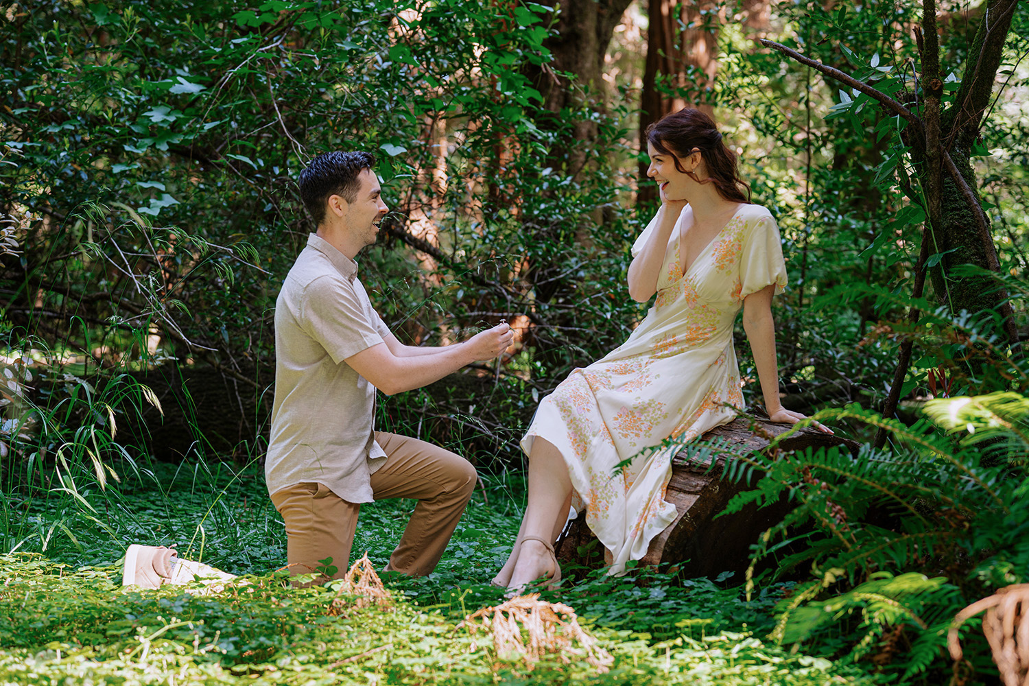 Engagement Photography in Muir Woods near San Francisco